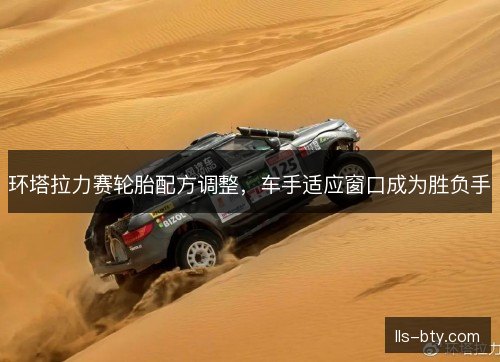 环塔拉力赛轮胎配方调整，车手适应窗口成为胜负手